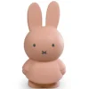 Atelier Pierre Tirelire Miffy Warm - Poudre