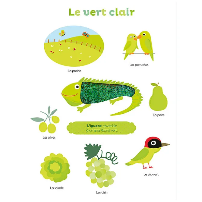 Auzou Mes Premières Couleurs à Toucher