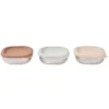 BÉABA Lot de 3 Boîtes Repas Inox Multi-usage Natural Set - 250 ml