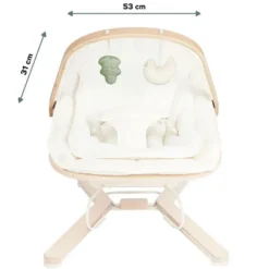 Babymoov Arche de Jeux Transat Swoon Flow