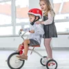 Baghera Tricycle Vintage Rouge
