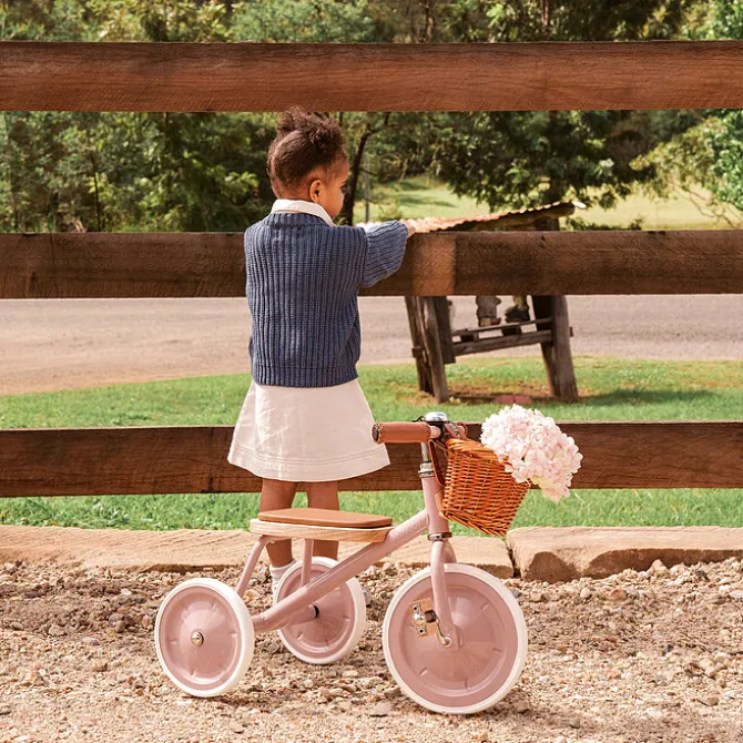 Banwood Tricycle Trike - Dusty Pink