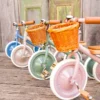 Banwood Tricycle Trike - Forest