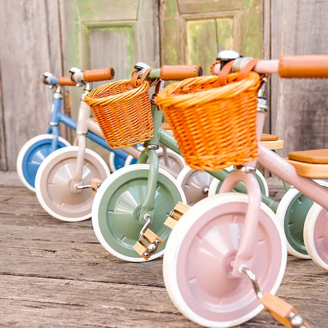 Banwood Tricycle Trike - Forest