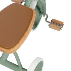 Banwood Tricycle Trike - Forest