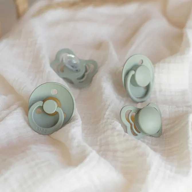 Bibs Coffret d'Essai Sucettes - Sauge