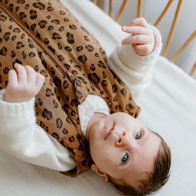 Bonjour Little Gigoteuse Mi-saison Bengal - 6/24 Mois