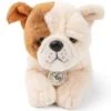 B.T. Chaps Bertha le Bulldog Américain