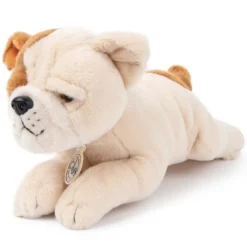 B.T. Chaps Bertha le Bulldog Américain