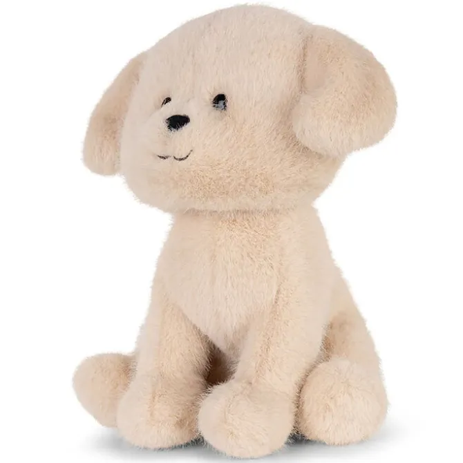 B.T. Chaps Loulou le Labrador