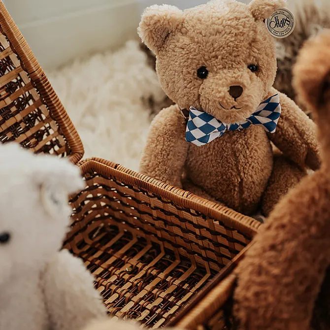 B.T. Chaps Norman l'Ours Chic