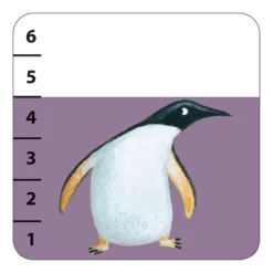 Djeco Jeux de Cartes Batanimo