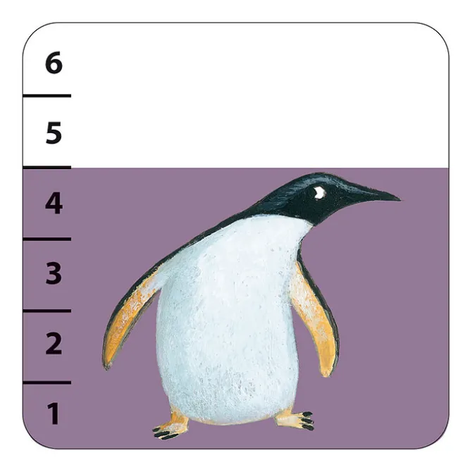 Djeco Jeux de Cartes Batanimo