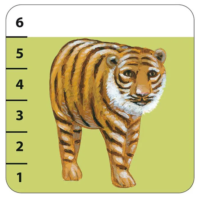 Djeco Jeux de Cartes Batanimo