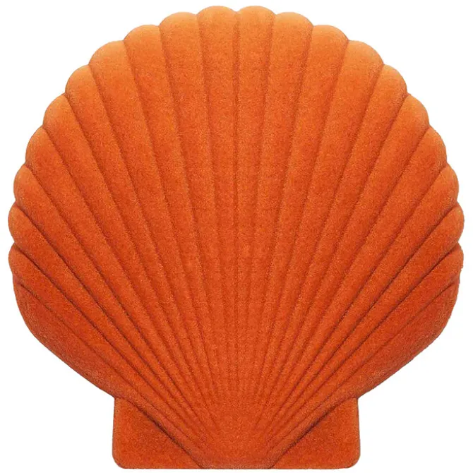 DOIY Boîte à Bijoux Coquillage Venus - Orange