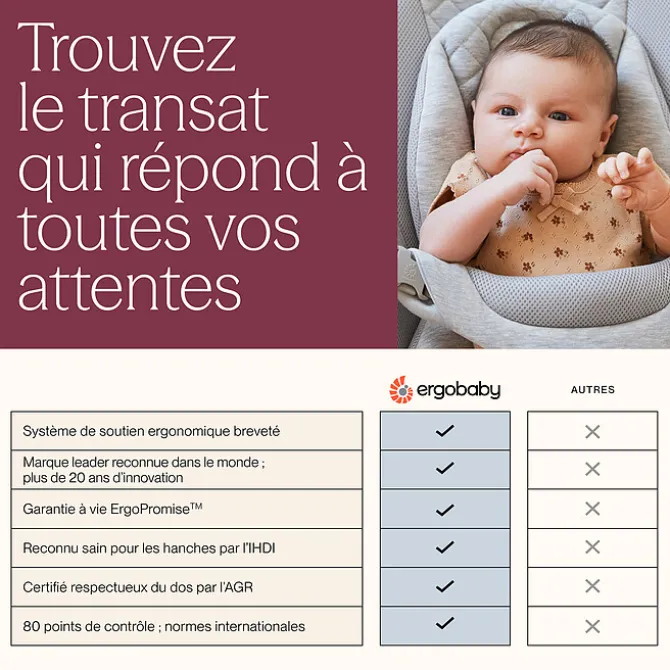 Ergobaby Transat Evolve Mesh - Vert Sauge