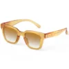 IZIPIZI Lunettes de Soleil Adulte #Road - Golden Canyon