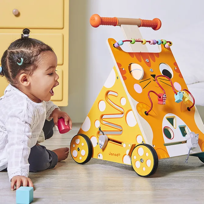 Janod Chariot Multi-activités Chat