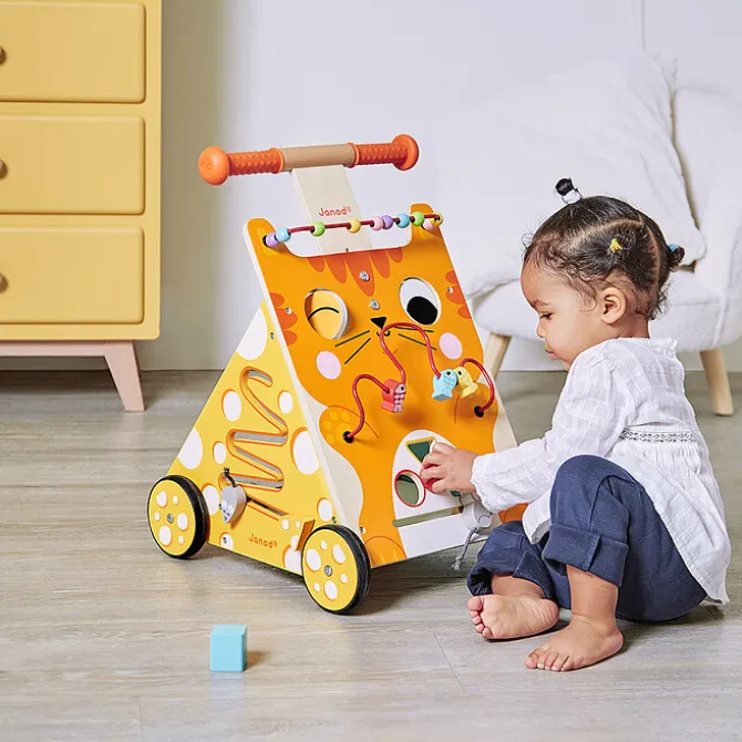 Janod Chariot Multi-activités Chat