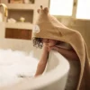 Jollein Cape de Bain - Jungle Jambo Cheetah