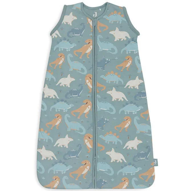 Jollein Gigoteuse Hiver Roarsome - 3/6 Mois