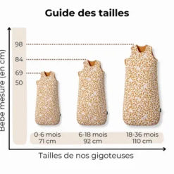 Les Petites Billes Gigoteuse Evolutive 4 Saisons Ourson - 18/36 Mois