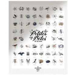 Les Petites Dates Affiche Les Petites Bêtes de la Mer - 50 x 40 cm