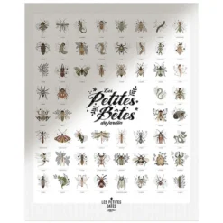 Les Petites Dates Affiche Les Petites Bêtes du Jardin - 50 x 40 cm