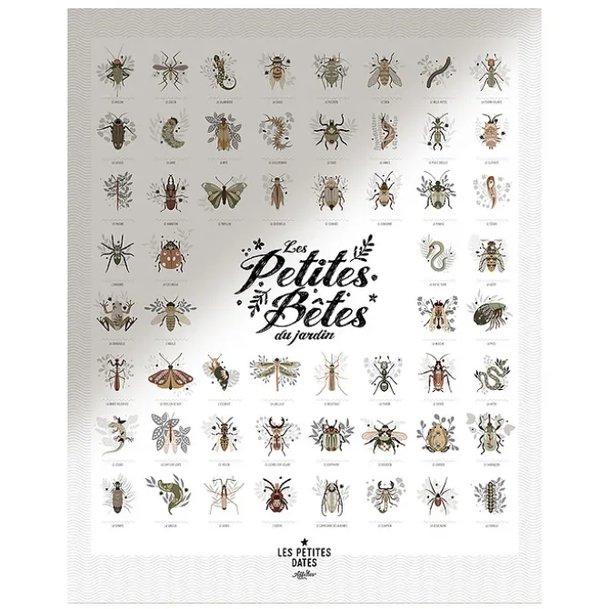 Les Petites Dates Affiche Les Petites Bêtes du Jardin - 50 x 40 cm