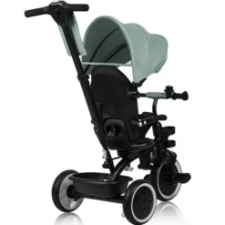 Lionelo Tricycle Berry - Green Forest