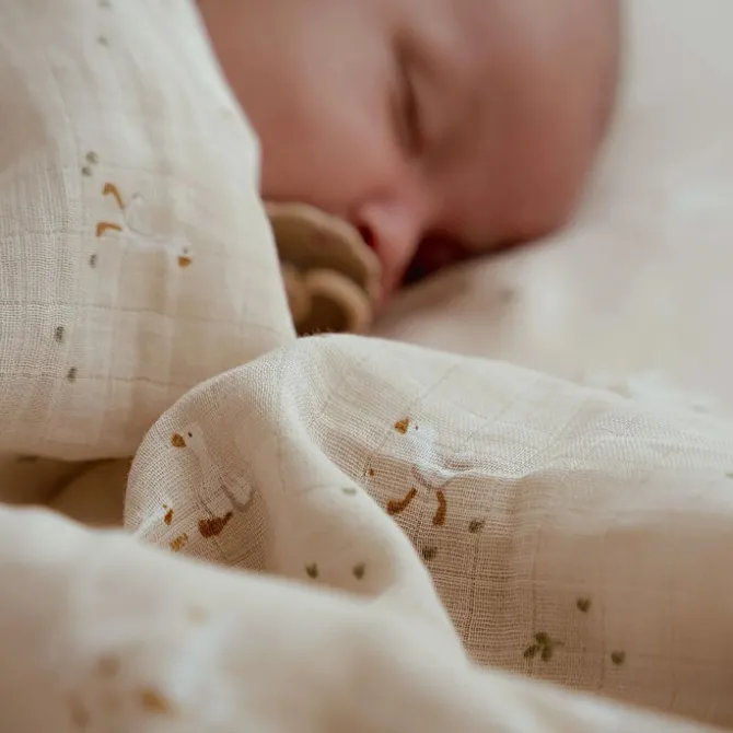 Little Dutch Maxi Lange Newborn Naturals - Little Goose