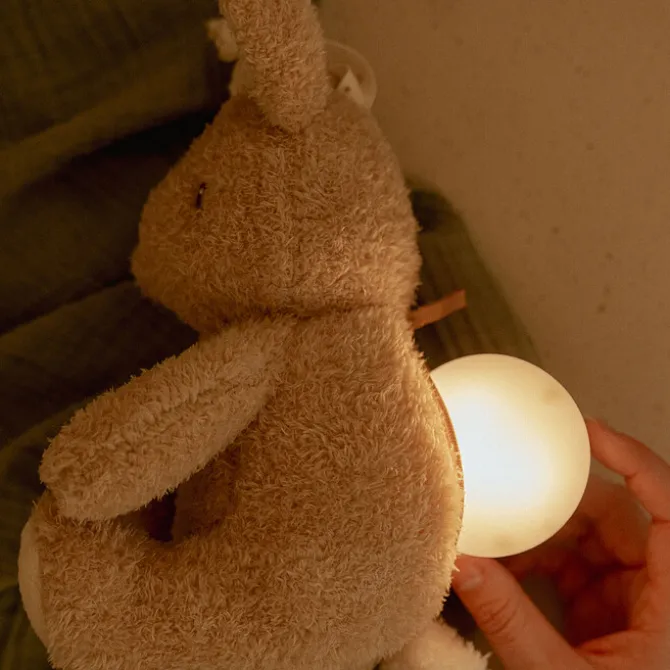 Little Dutch Peluche Musicale et Lumineuse Lapin - Newborn
