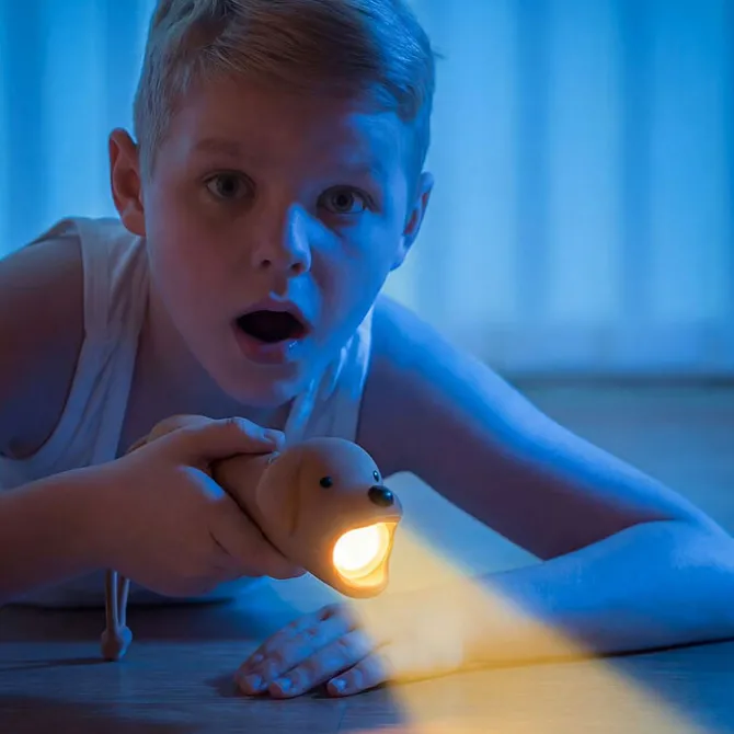 Little L Lampe Torche - Chien