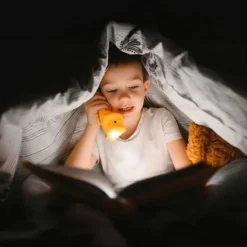 Little L Lampe Torche - Lion