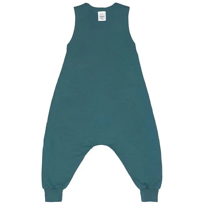 LÄSSIG Combinaison pour Dormir Chien Bleu Vert - 4/6 Ans