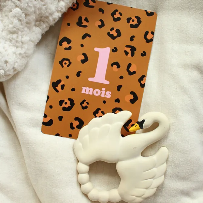 Ma petite vie Cartes Etapes - Mes 12 Premiers Mois