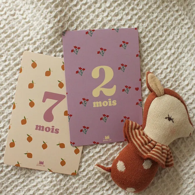 Ma petite vie Cartes Etapes - Mes 12 Premiers Mois