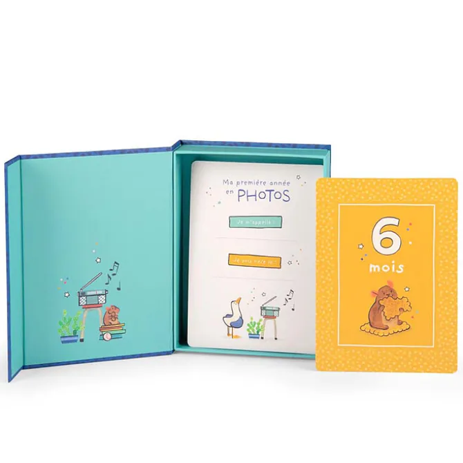 Moulin Roty Cartes Mes 12 Premiers Mois - Puce & Pilou