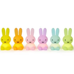 Mr Maria Miffy Bundle of Light - Colorful