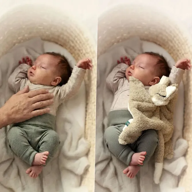 myHummy Doudou Lesté Bouillotte Sèche Renard