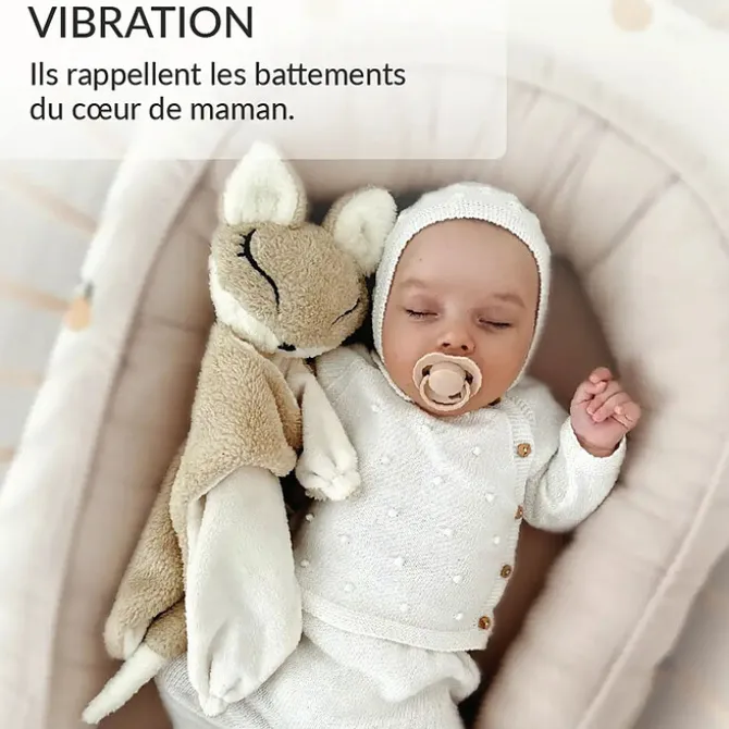 myHummy Doudou Veilleuse Bouillotte Sèche Renard