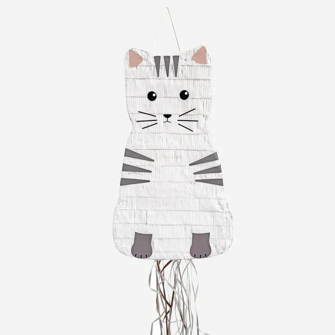 My Little Day Pinata Chat