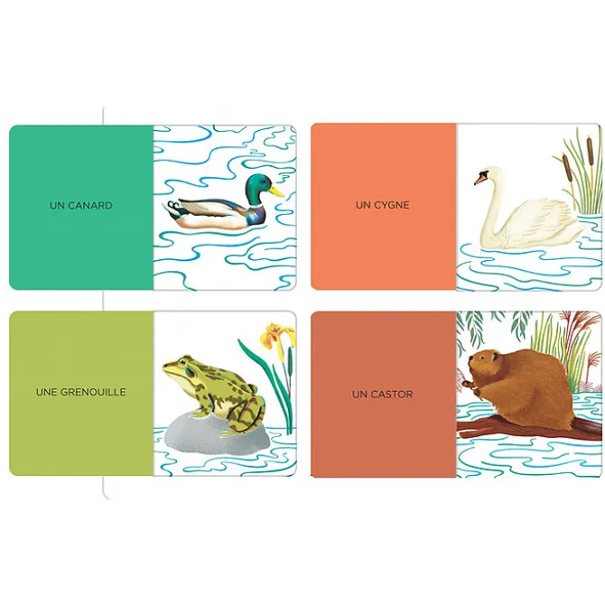 Nathan Editions Imagier des Animaux