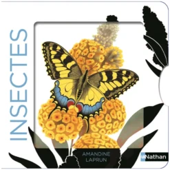 Nathan Editions Les Belles Couleurs - Insectes