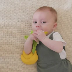 Oli & Carol Boîte à Sucette - Ana Banana