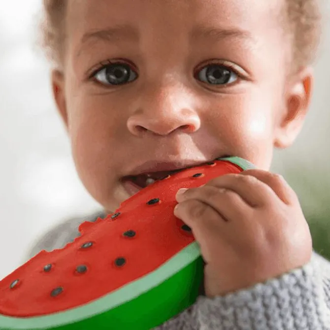 Oli & Carol Jouet de Dentition Wally la Pastèque