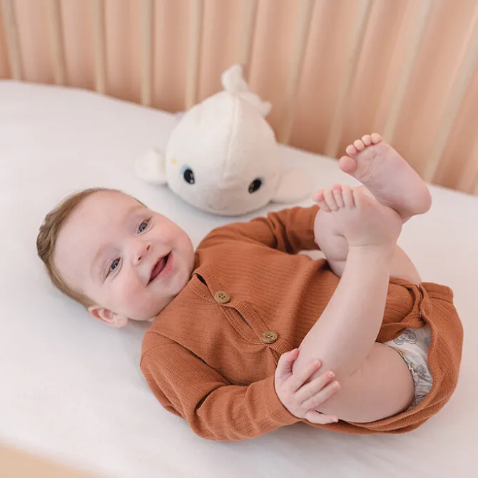 Pabobo Peluche Veilleuse Bélulga