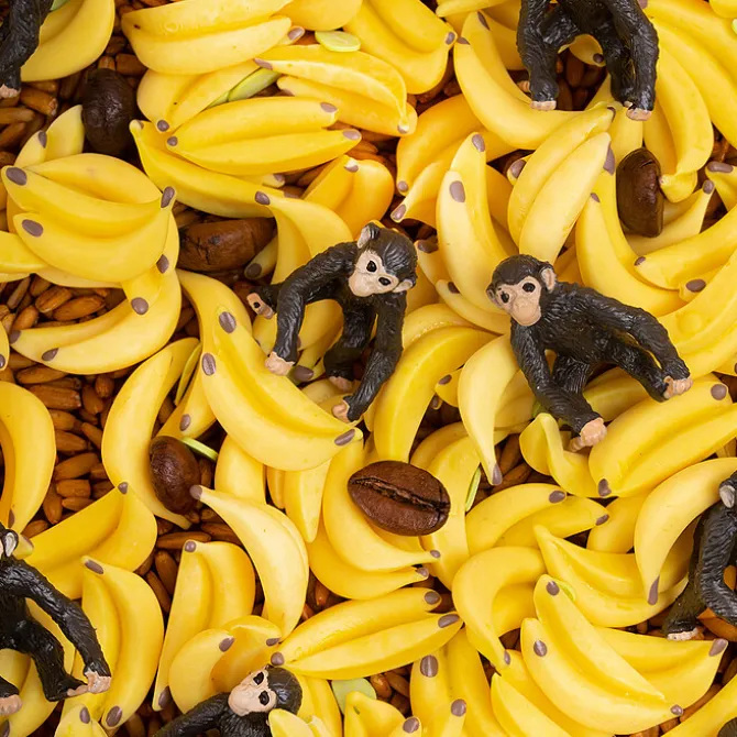 Petit Boum Bouteille Sensorielle Sound - Singe
