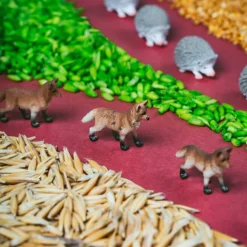 Petit Boum Bouteille Sensorielle Spy - Forêt
