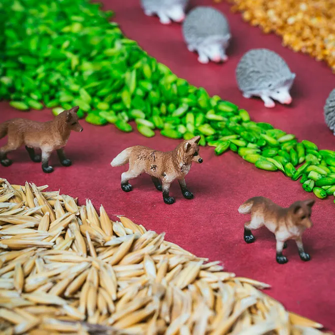 Petit Boum Bouteille Sensorielle Spy - Forêt